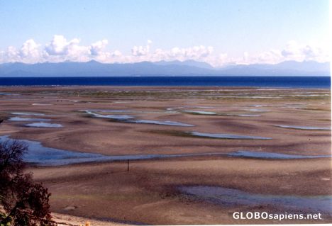 Postcard lowtide, vancouver island