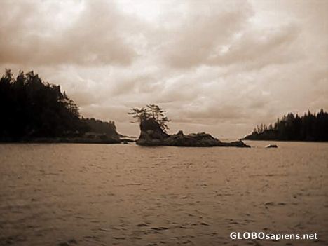 Postcard Vancouver Island - Chesterman's Beach