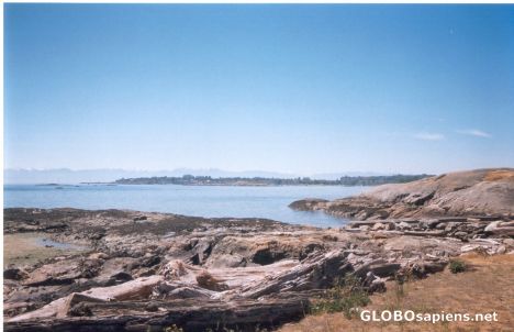 Postcard Willows Beach