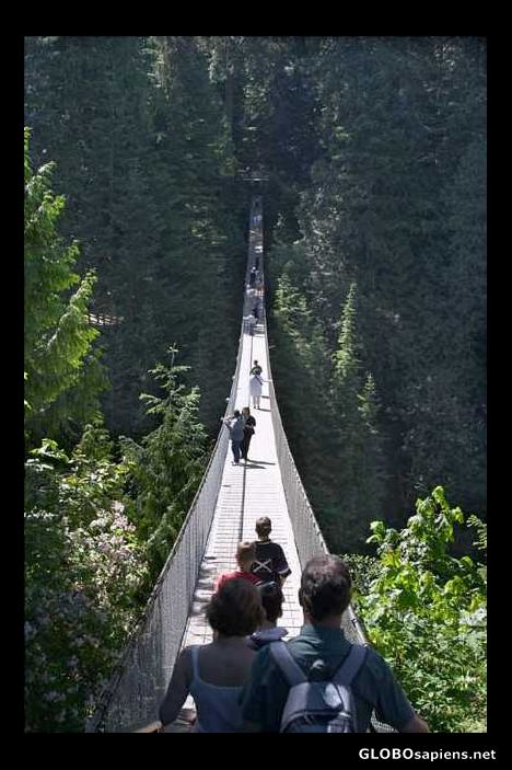 Postcard Capilano Suspension Bridge