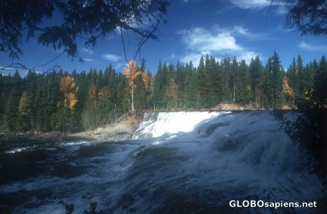 Postcard Dawson Falls