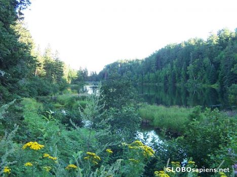 Postcard FRENCH FORT COVE PARK AND MIRAMICHI RIVER