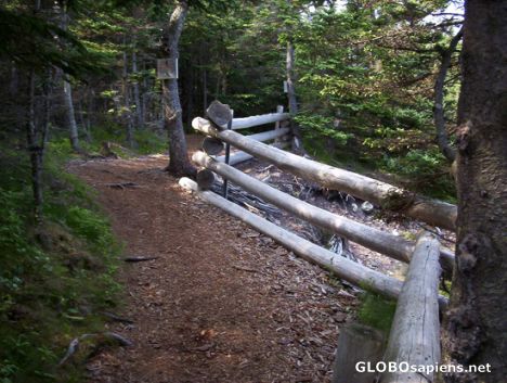 Postcard Fence