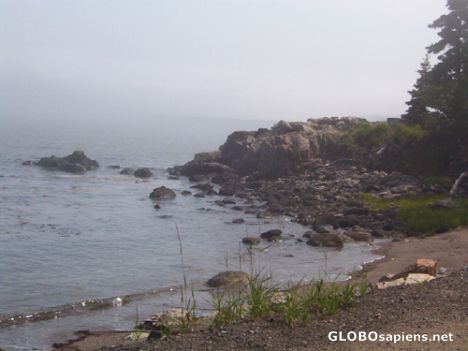 Postcard Fog and rocky shore, Chance Harbour