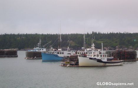 Postcard Dipper Harbour wharf, boats and lobster cages