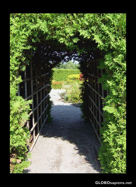 Postcard Look from Knot & Rose Garden