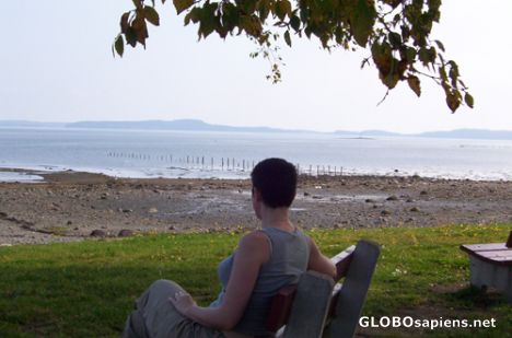 Postcard Me looking toward Passamaquoddy Bay