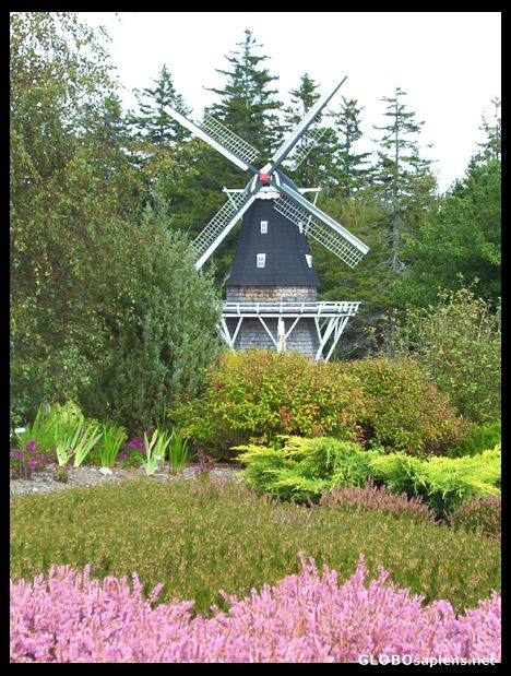 Postcard The Dutch Windmill, Kingsbrae Garden