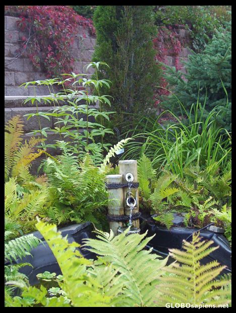 Postcard Water Fountain, Demonstration Garden
