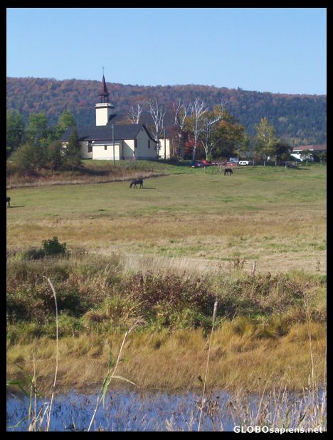 Postcard Center of the village of Bloomfield