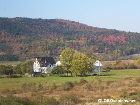 Postcard Village Farm of Bloomfield