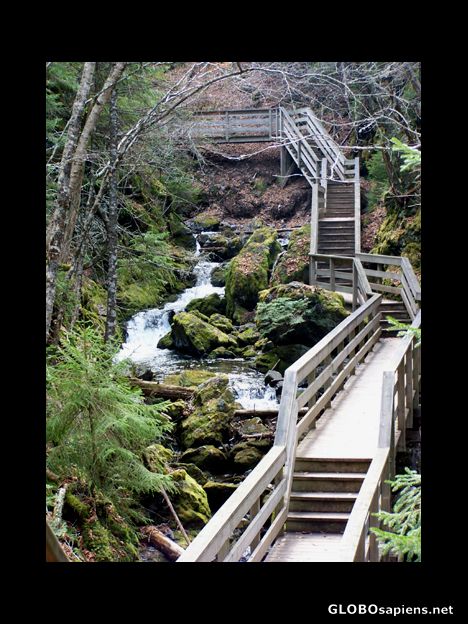 Postcard Dickson Falls in Fundy's National Park, by Alma