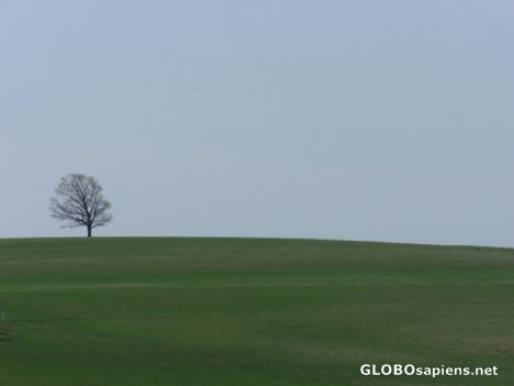 Postcard Farm Field