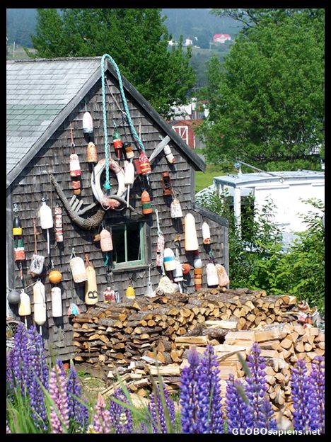 Postcard Fishermen\'s shed with many buoys, Grand Manan