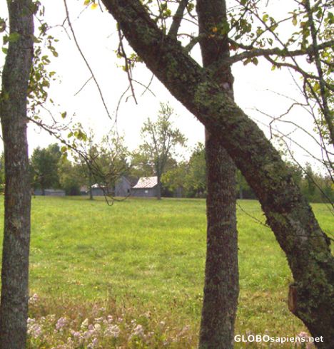 Postcard Farm buildings, yellowing leaves and grass