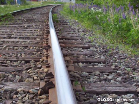 Postcard Train track