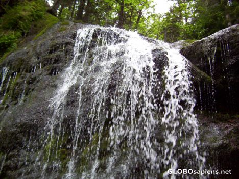Postcard Waterfall in Fundy Trail, St. Martin