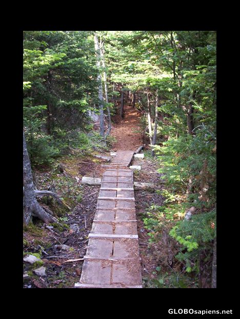 Postcard Trail in Irving Nature Park