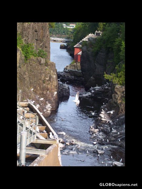 Postcard Hydroelectric dam on macaquadavic river, St.George