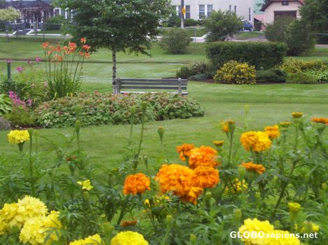 Postcard Public Gardens