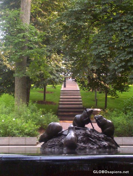 Postcard Beaver Fountain