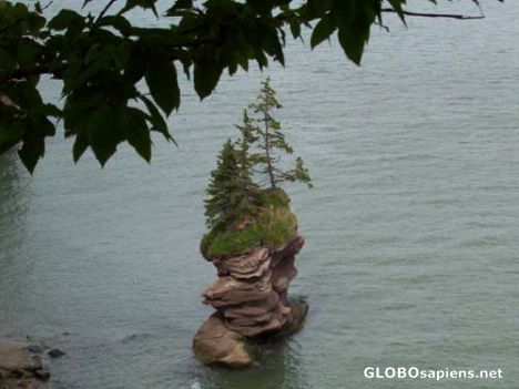 Postcard Flower Pot rock, Fundy trails, New Brunswick