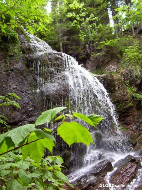 Postcard Fuller Fall, Fundy Trails, New Brunswick