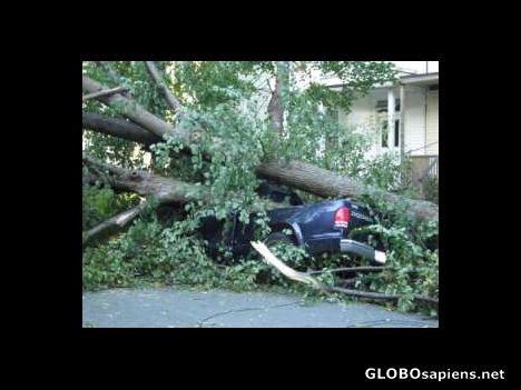 Postcard DAMAGE