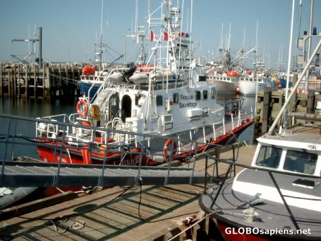 Postcard Fishing-boats nearby Yarmouth