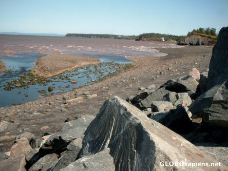 Postcard Bay of Fundy