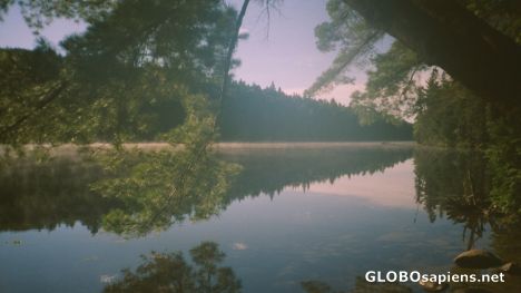 Postcard Algonquin Park