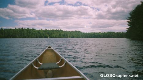 Postcard Algonquin Park