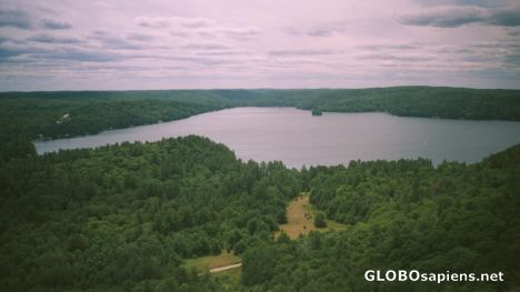 Postcard Algonquin Park