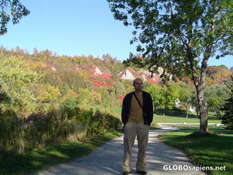 Postcard Fall colours in Ontario