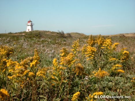 Postcard Lighthouse at P.E.I.