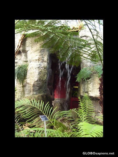 Postcard Waterfall in the Ferns Greenhouse,Montreal