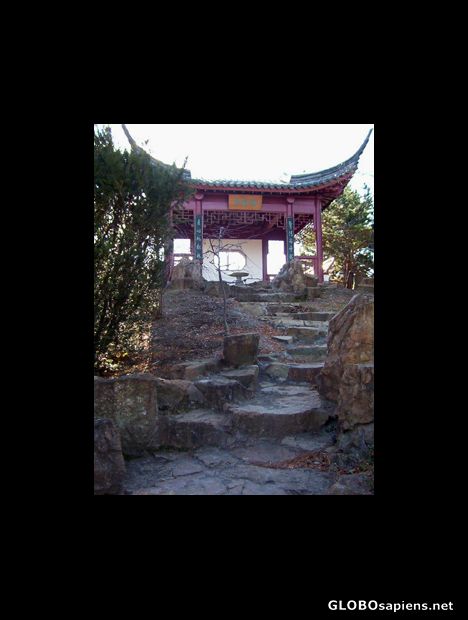 Postcard Japanese Gardens