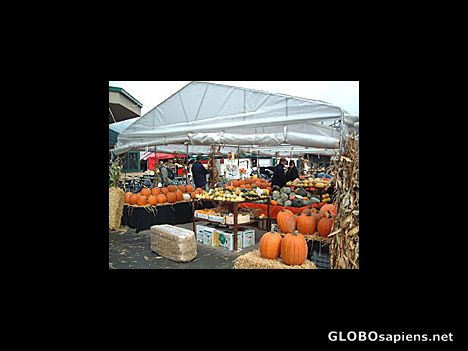 Postcard Montreal - Halloween