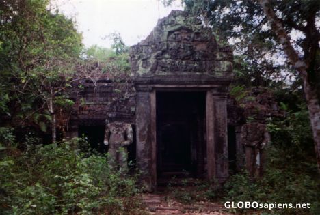Postcard Dark Entrance