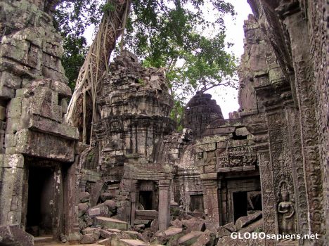 Postcard Ta Prohm
