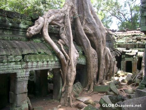 Postcard Ta Prohm