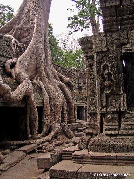 Postcard Ta Prohm
