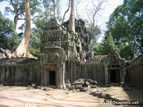 Postcard Ta Phom Ruins - Invasion of the Tree Roots!!