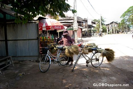 Postcard Street Scene Along Sivatha Avenue