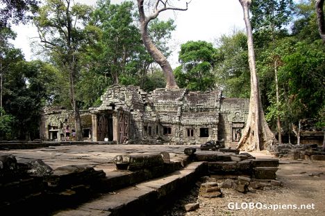 Postcard Ta Prohm Temple