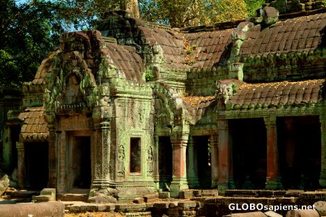 Postcard Ta Prohm Entrance