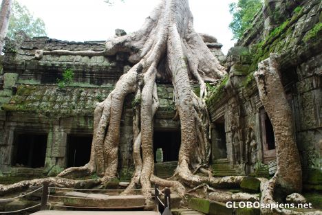Nature or monuments - who will win ?