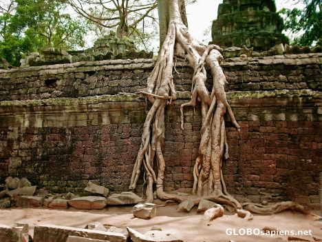 Postcard Cambodia, Angor Wat