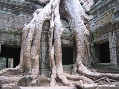 Postcard angkor wat