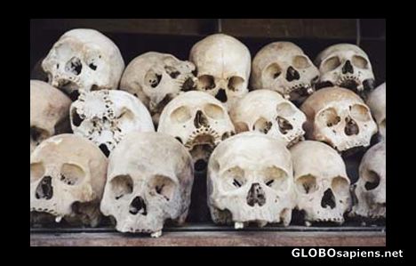 Postcard Scaring skulls.